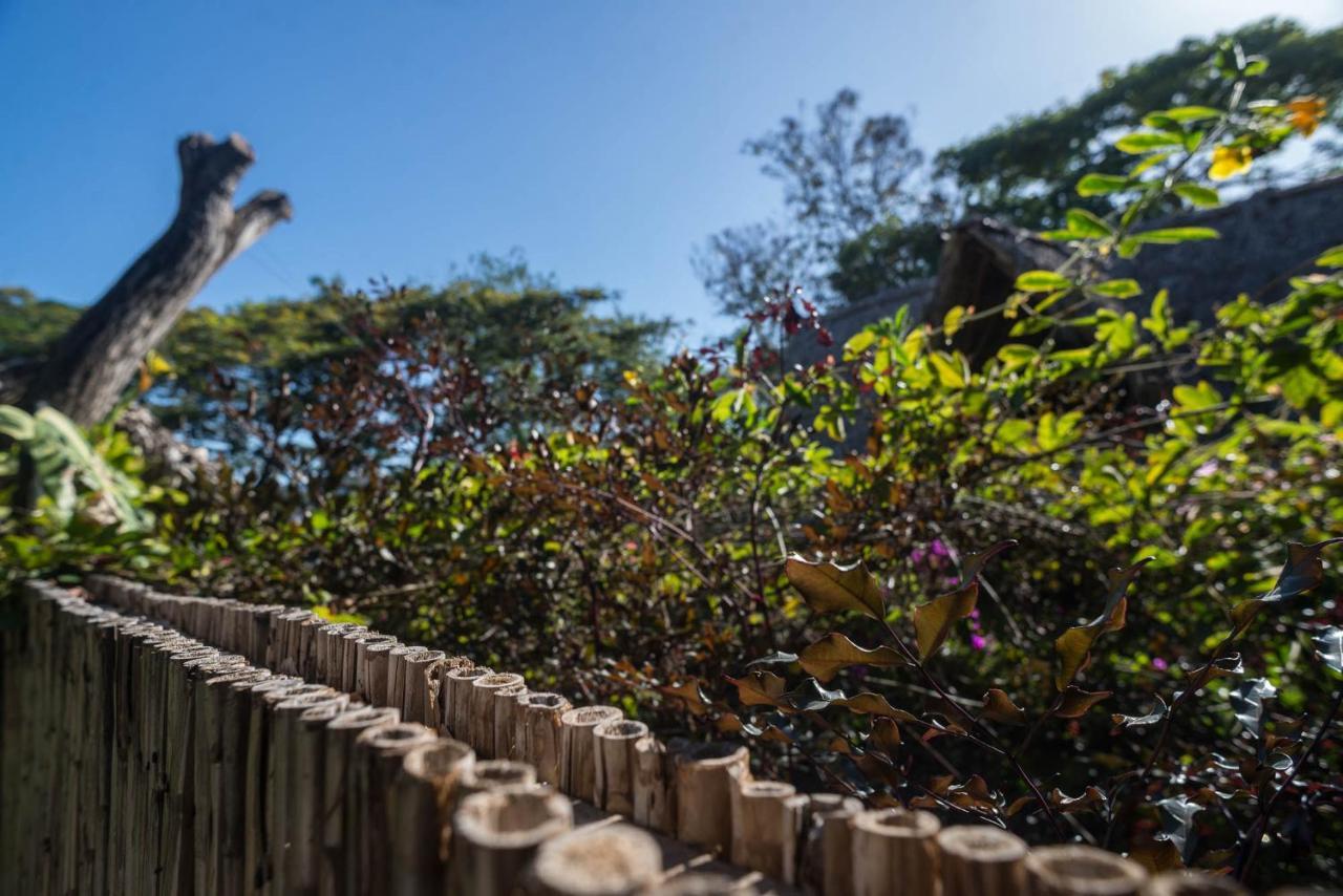Casa Marimba Acomodação com café da manhã La Laguna Exterior foto